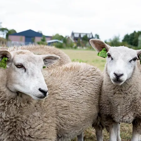 Antonius Hoeve Frühstückspension Oudenbosch