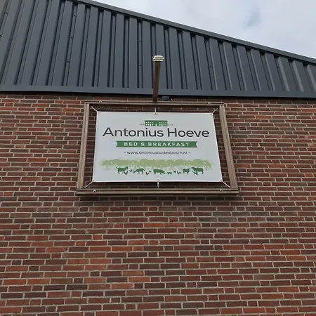 Frühstückspension Antonius Hoeve 3*