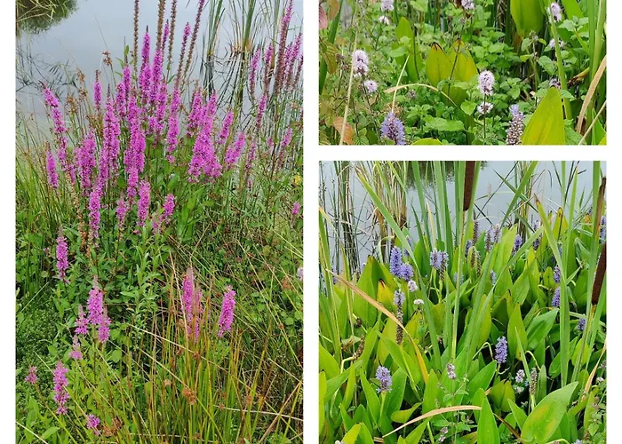 Antonius Hoeve Frühstückspension