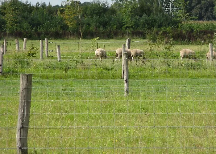 Frühstückspension Antonius Hoeve