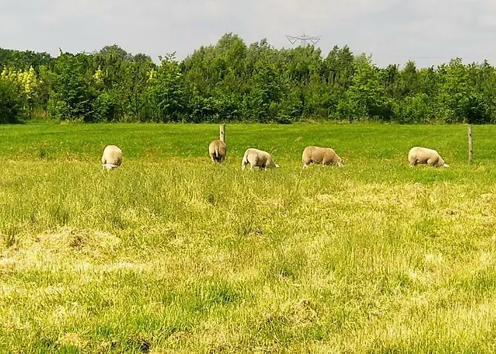 Frühstückspension Antonius Hoeve Oudenbosch