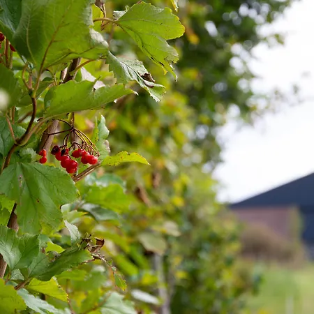 Bed & Breakfast Antonius Hoeve