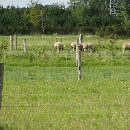 Bed & Breakfast Antonius Hoeve
