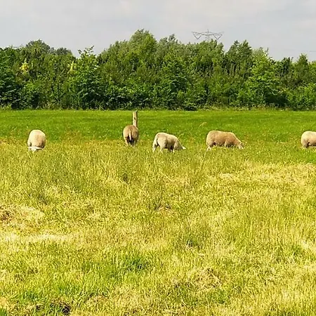 Bed & Breakfast Antonius Hoeve Oudenbosch